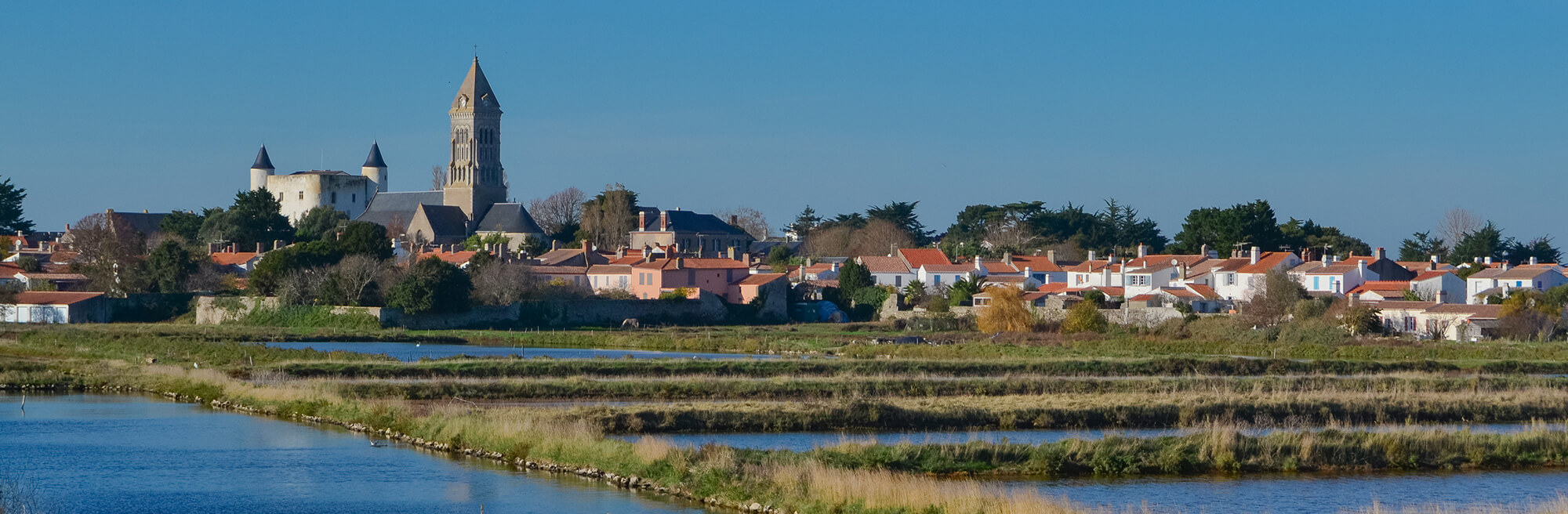 Image aléatoire 7
